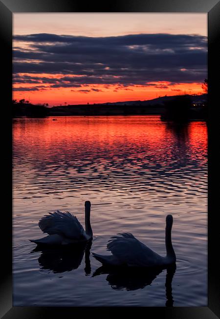 Watching the Sun go down.  Framed Print by Becky Dix