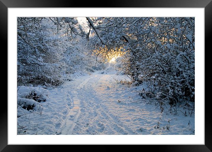 Sunrise at Ditchling Common in the snow Framed Mounted Print by Eddie Howland