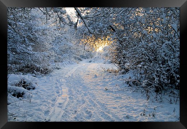 Sunrise at Ditchling Common in the snow Framed Print by Eddie Howland