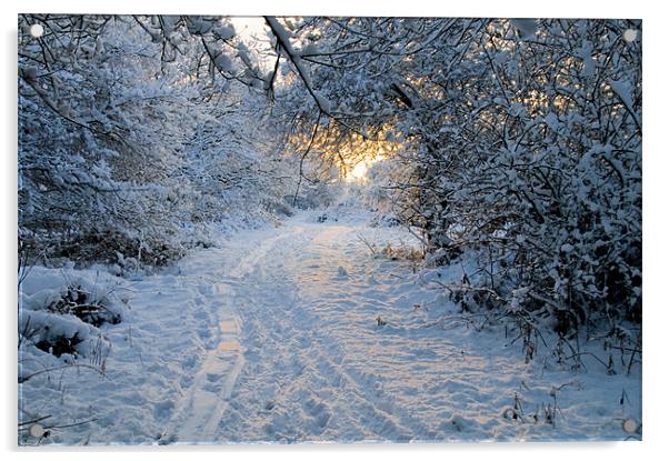 Sunrise at Ditchling Common in the snow Acrylic by Eddie Howland