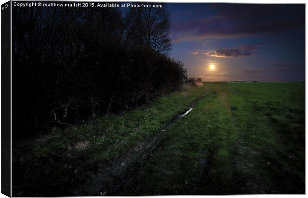  Pathway to the Rising Moon Canvas Print by matthew  mallett