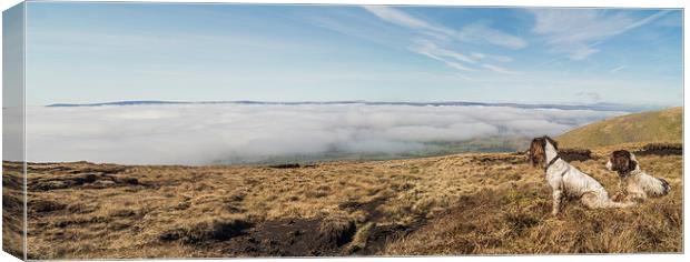 Pendle hill view, with Springer Spaniels Canvas Print by Graham Pickavance