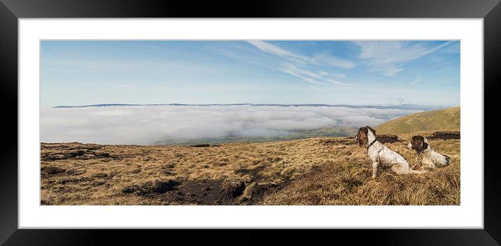 Pendle hill view, with Springer Spaniels Framed Mounted Print by Graham Pickavance