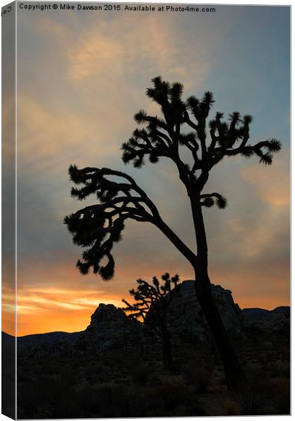 Reaching for the Heavens Canvas Print by Mike Dawson