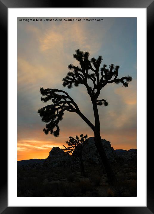 Reaching for the Heavens Framed Mounted Print by Mike Dawson