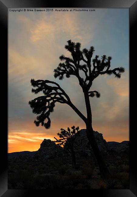 Reaching for the Heavens Framed Print by Mike Dawson