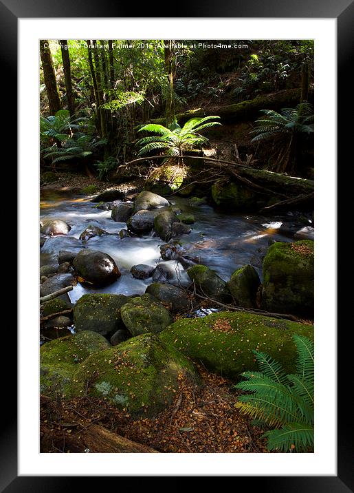  Taggerty Cascades #1 Framed Mounted Print by Graham Palmer