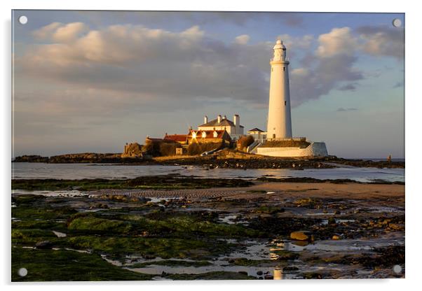  St Marys Lighthouse Acrylic by Helen Holmes