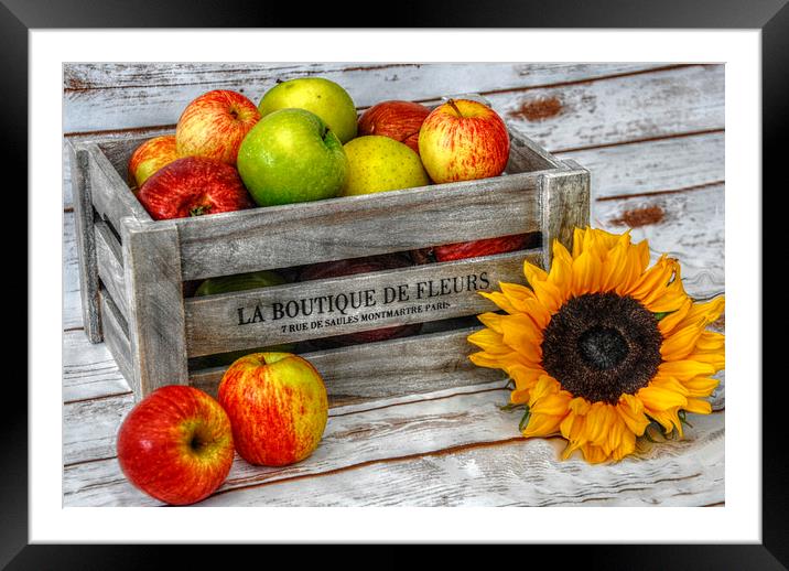 apples and flowers Framed Mounted Print by sue davies
