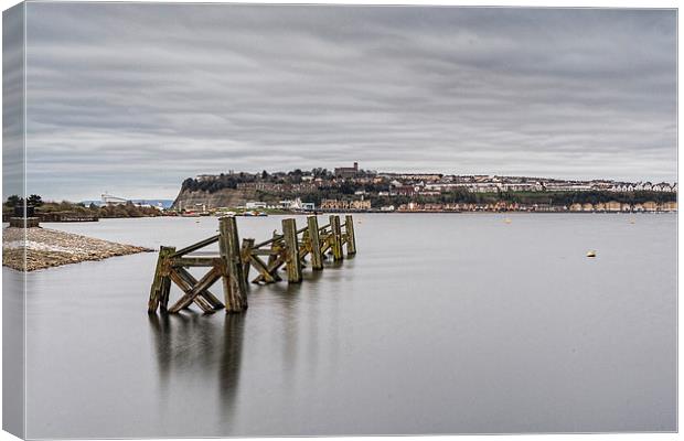 Cardiff Bay 2 Canvas Print by Steve Purnell