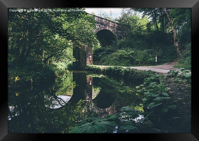 Old railway bridge. Monsal Trail. Framed Print by Liam Grant