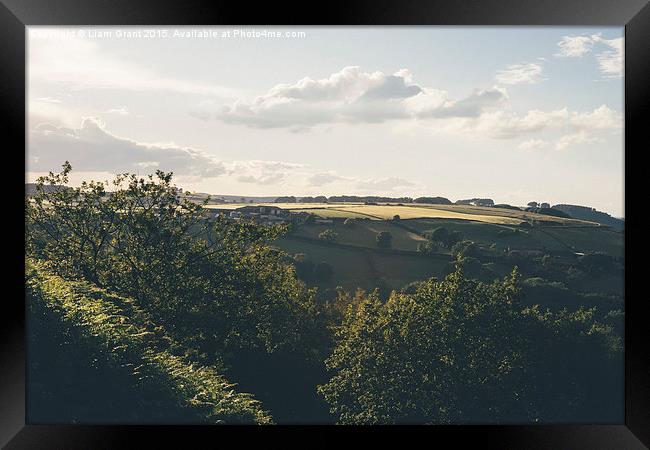 Evening view near Butterley.  Framed Print by Liam Grant