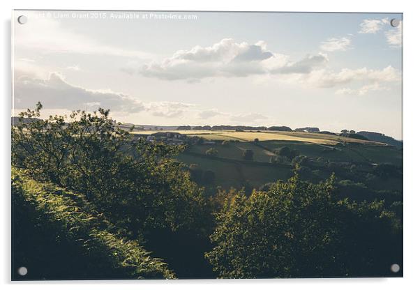 Evening view near Butterley.  Acrylic by Liam Grant