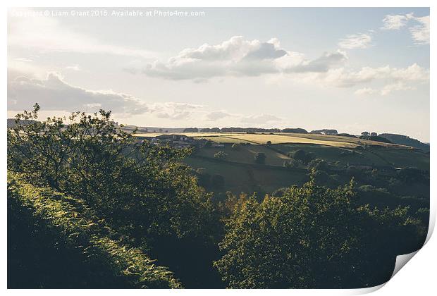 Evening view near Butterley.  Print by Liam Grant
