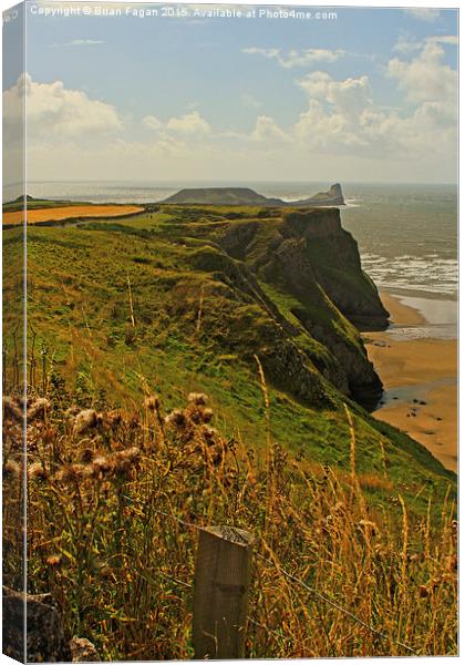  View from the Hotel at Worm's Head Canvas Print by Brian Fagan