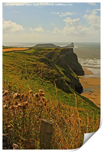  View from the Hotel at Worm's Head Print by Brian Fagan