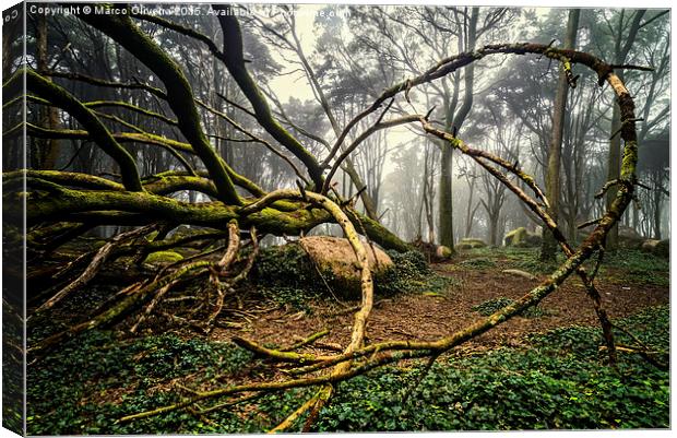 The Fallen Tree II Canvas Print by Marco Oliveira