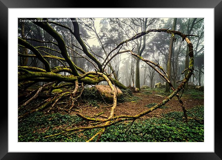 The Fallen Tree II Framed Mounted Print by Marco Oliveira