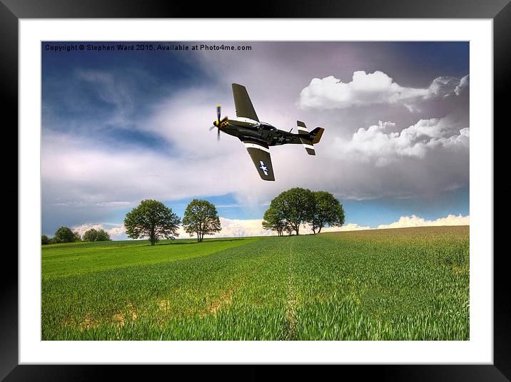  Buzzing the fields Framed Mounted Print by Stephen Ward