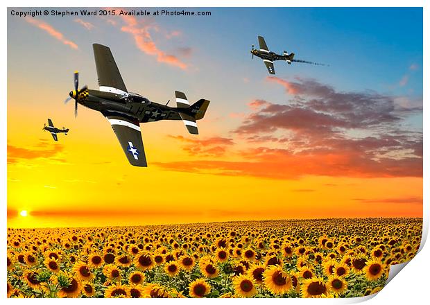  Sunflower Flypast Print by Stephen Ward