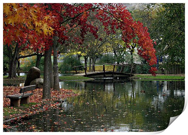 Fall color with bridge Print by Nick Minoff