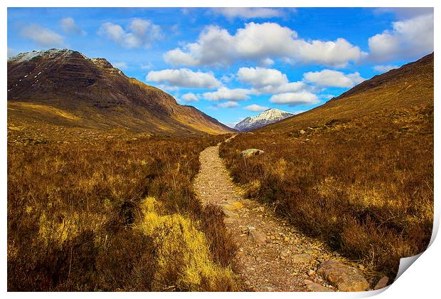  Path to the mountains Print by Ian Purdy