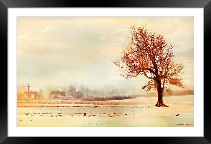  Lone Tree Framed Mounted Print by Louise Godwin