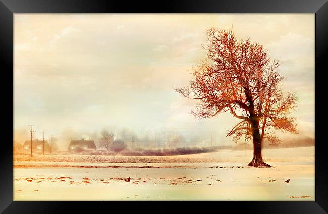  Lone Tree Framed Print by Louise Godwin