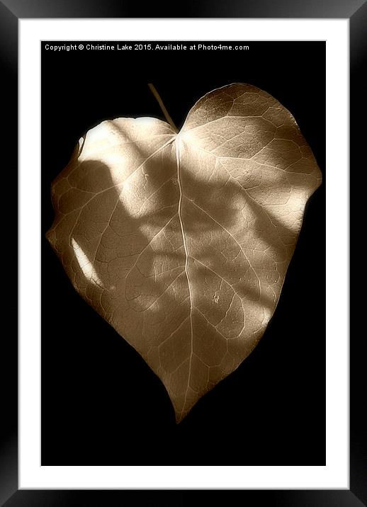 Ivy Heart Framed Mounted Print by Christine Lake