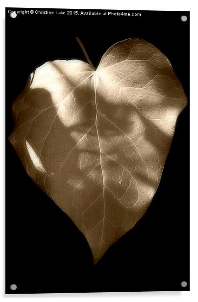  Ivy Heart Acrylic by Christine Lake
