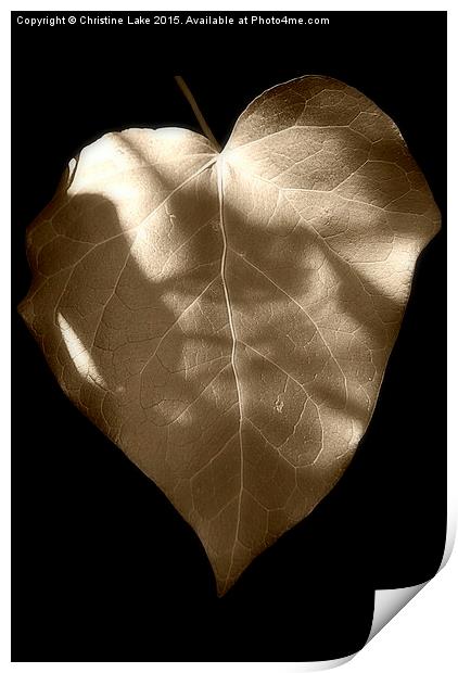  Ivy Heart Print by Christine Lake