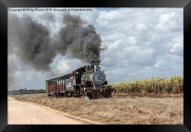  Steam Train and the Sugar Cane Fields Framed Print by Philip Pound
