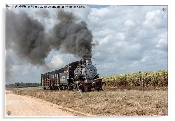  Steam Train and the Sugar Cane Fields Acrylic by Philip Pound