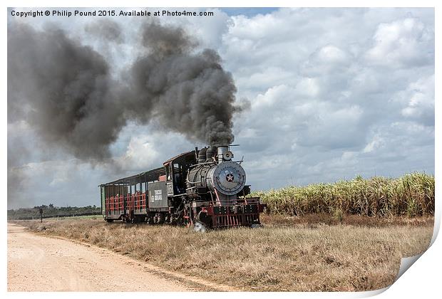  Steam Train and the Sugar Cane Fields Print by Philip Pound