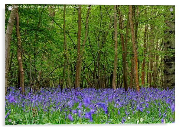  Glory Bells Acrylic by Craig Williams