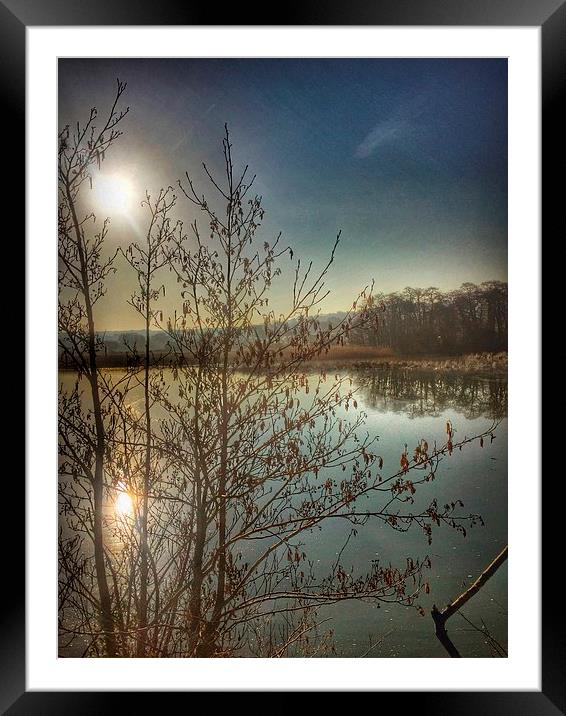  Reflections at sunrise Framed Mounted Print by Elaine Turpin