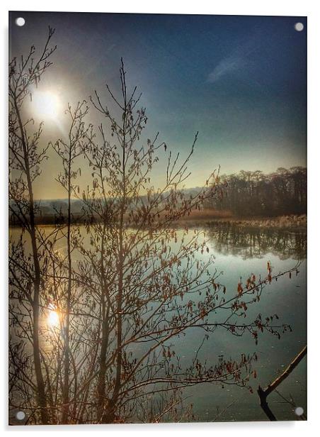  Reflections at sunrise Acrylic by Elaine Turpin