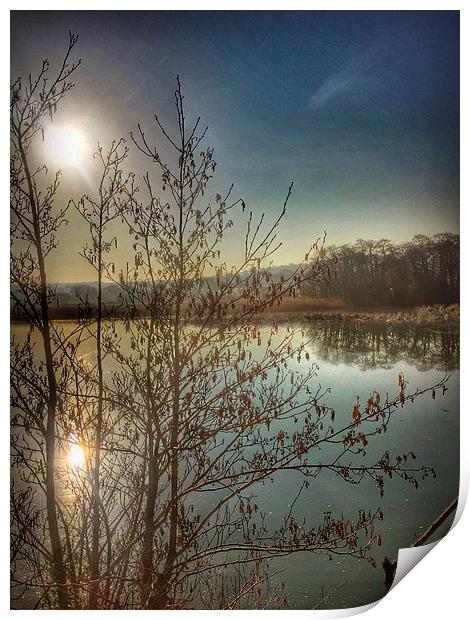 Reflections at sunrise Print by Elaine Turpin