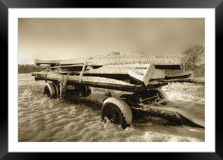 Old Cart 3 Framed Mounted Print by Eddie Howland