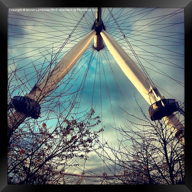  London Eye, London Framed Print by Muriel Lambolez