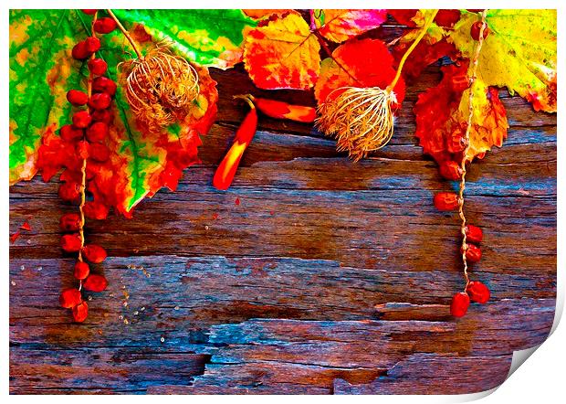 Colorful autumn leaves  Print by ken biggs