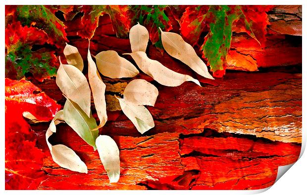 Colorful autumn leaves Print by ken biggs