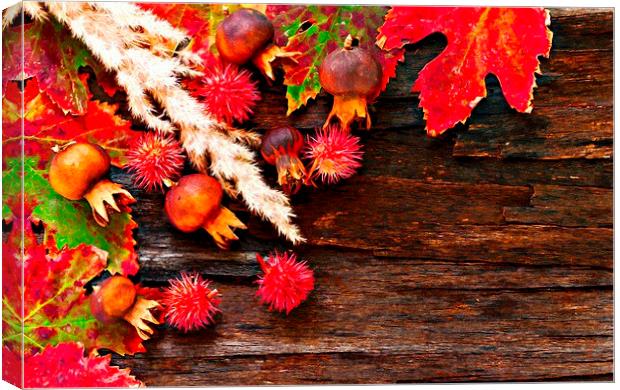 Colorful autumn leaves Canvas Print by ken biggs