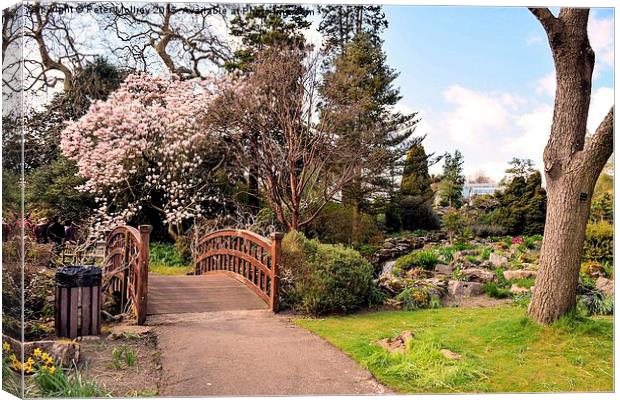  Swansea Botanical Gardens Canvas Print by Peter McIlroy