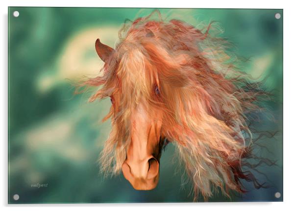  A horse called Copper Acrylic by Valerie Anne Kelly