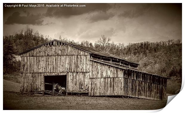  The Barn  Print by Paul Mays