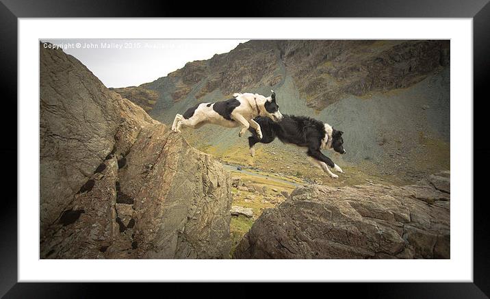  Leap of Faith Framed Mounted Print by John Malley