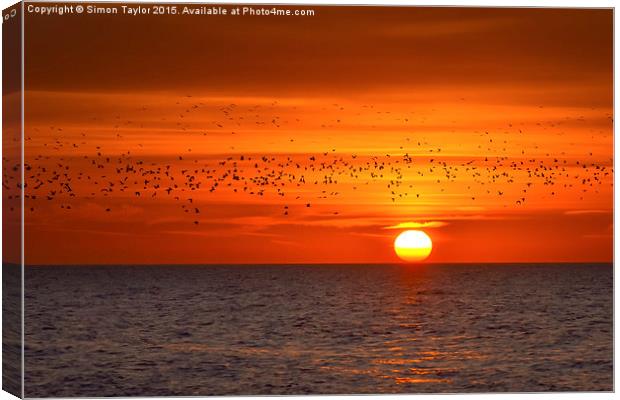 Migrating Sunset Canvas Print by Simon Taylor