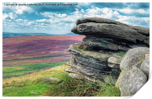  Colours of a moorland Print by Jolanta Kostecka