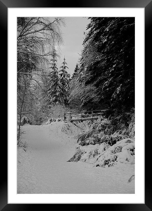 Lonely Woods Framed Mounted Print by john maclean